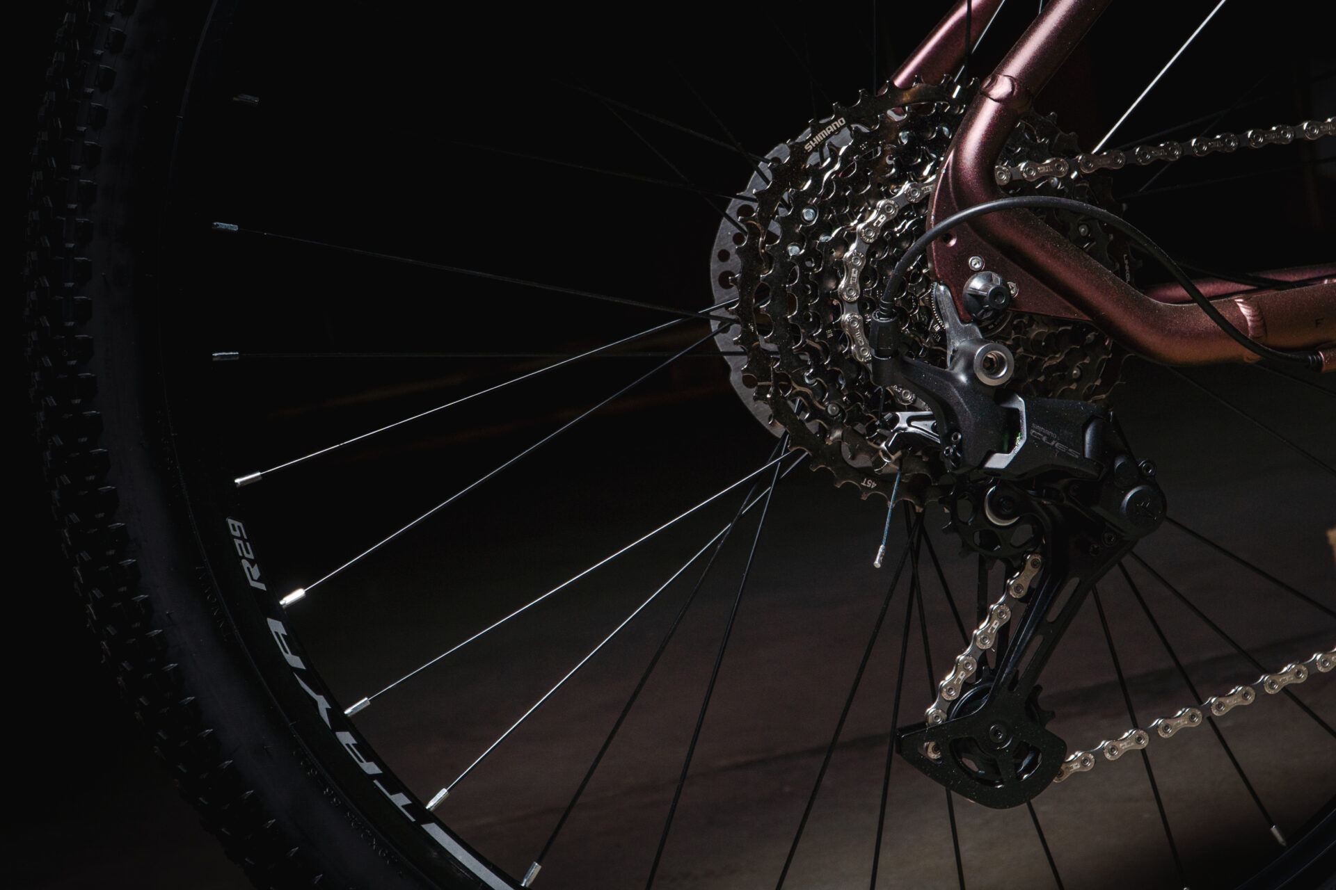 Adventure Pro 1x11 - Imagen 7