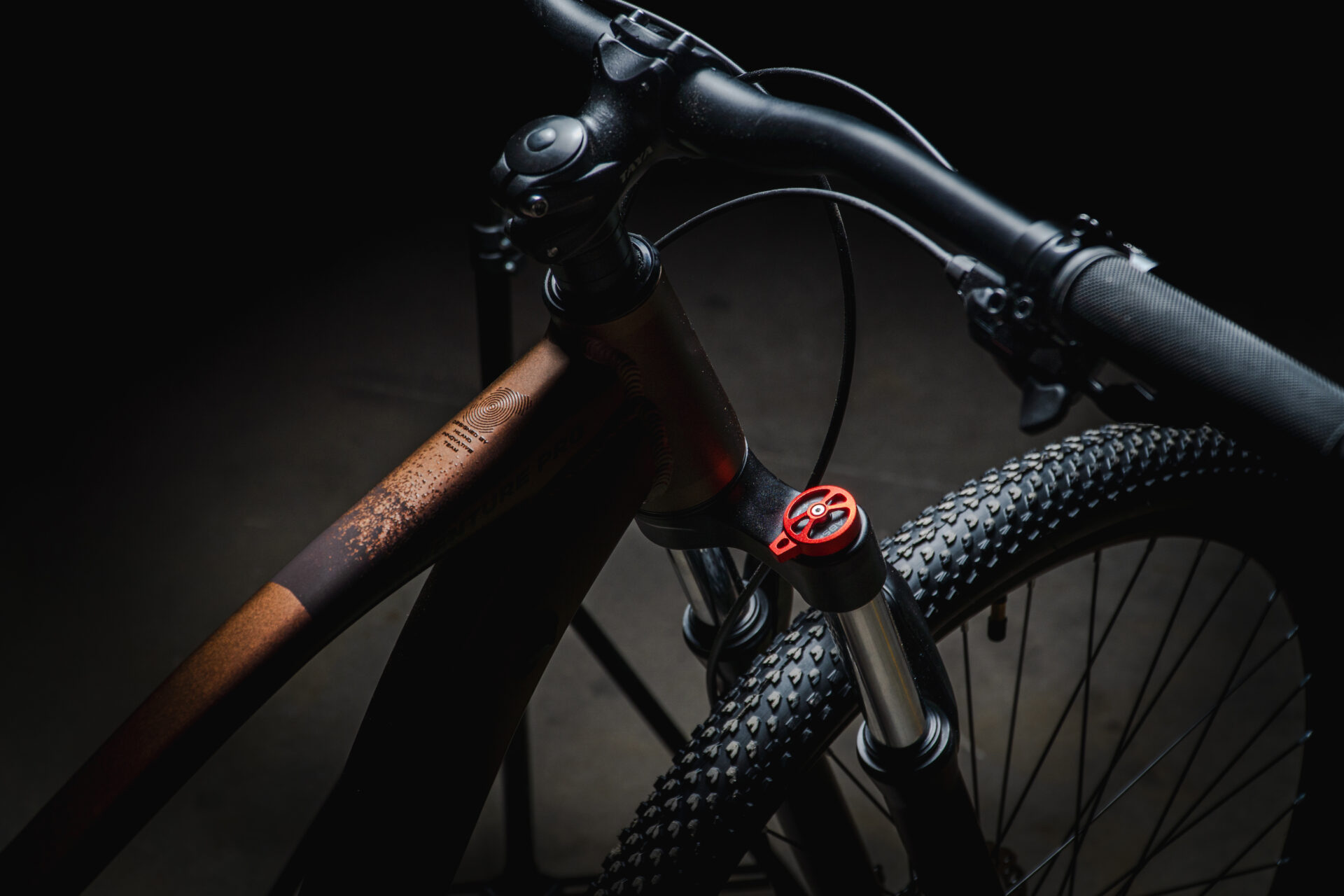 Adventure Pro 1x11 - Imagen 3