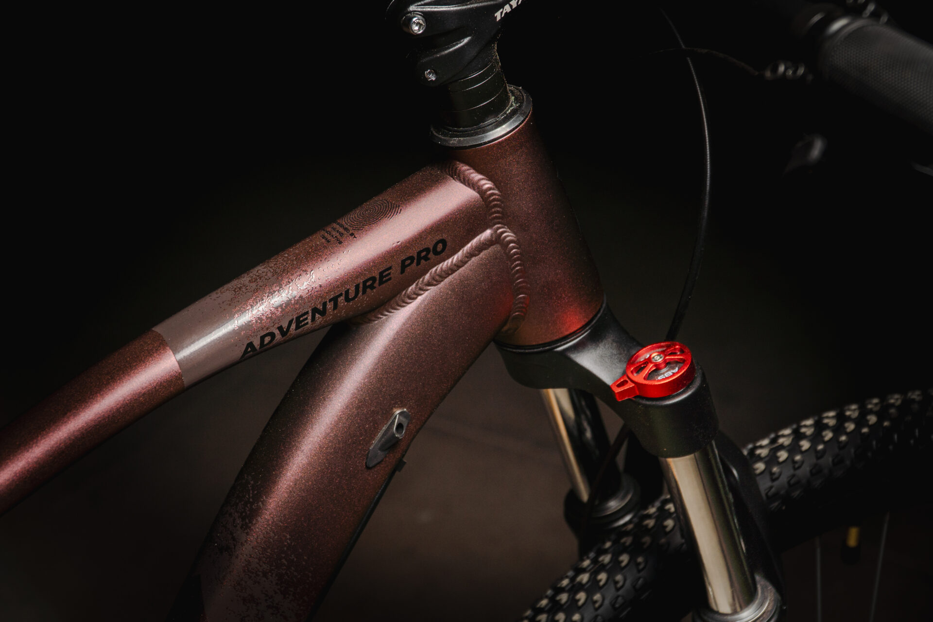 Adventure Pro 1x11 - Imagen 6