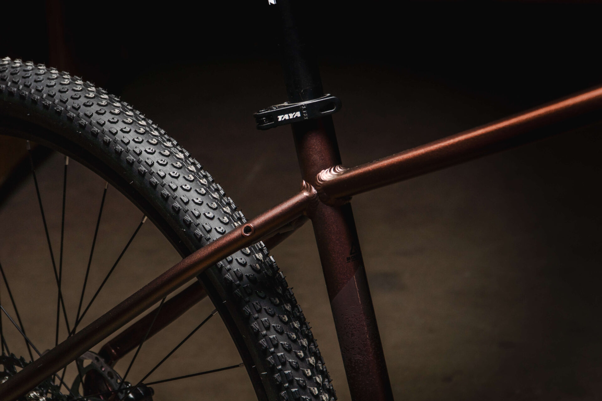 Adventure Pro 1x11 - Imagen 4