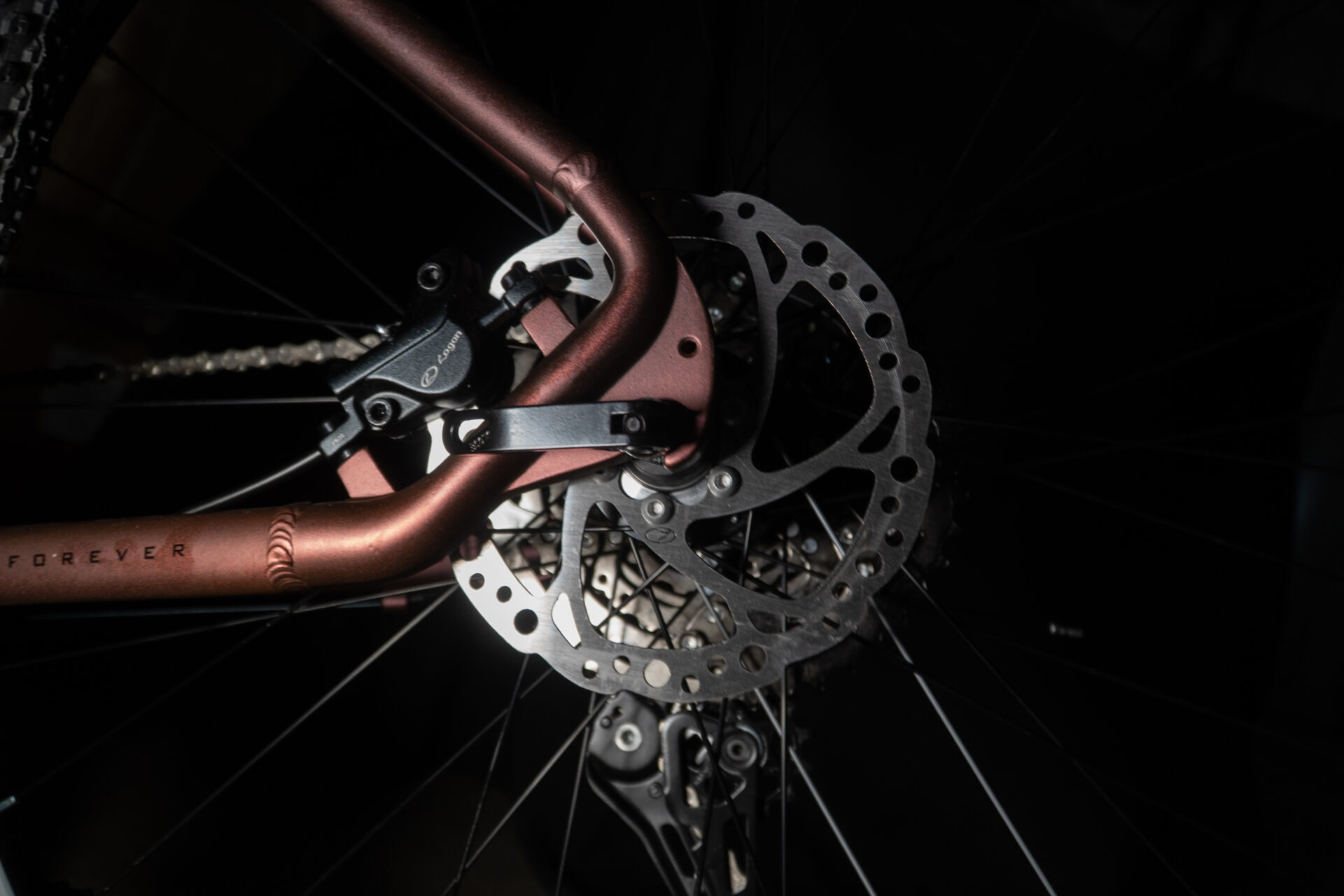 Adventure Pro 1x11 - Imagen 5