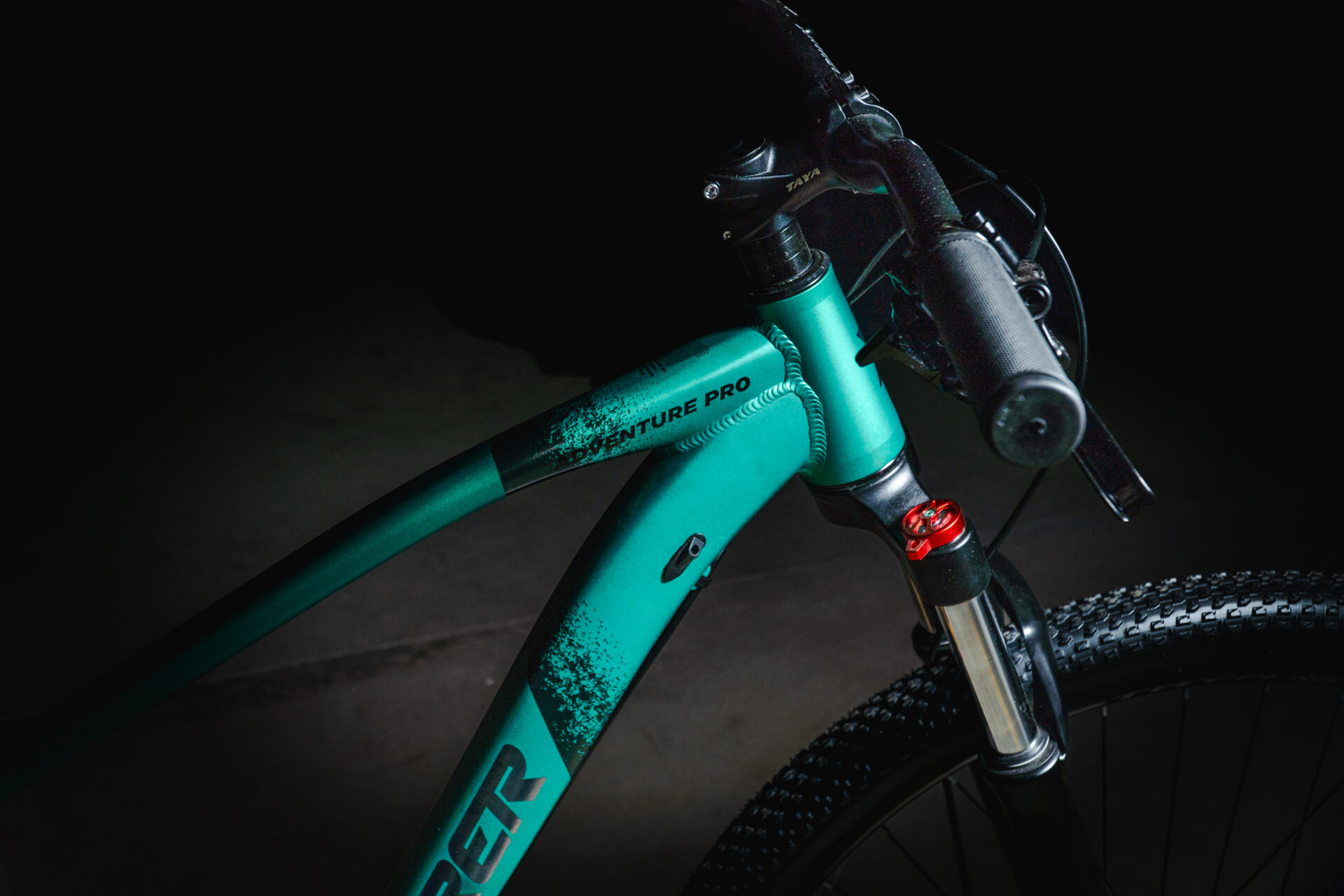 Adventure Pro 1x11 - Imagen 27