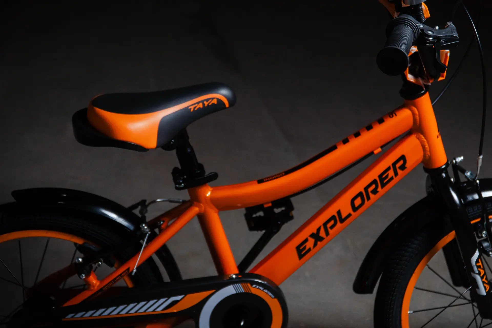 Índigo R16 - Imagen 13